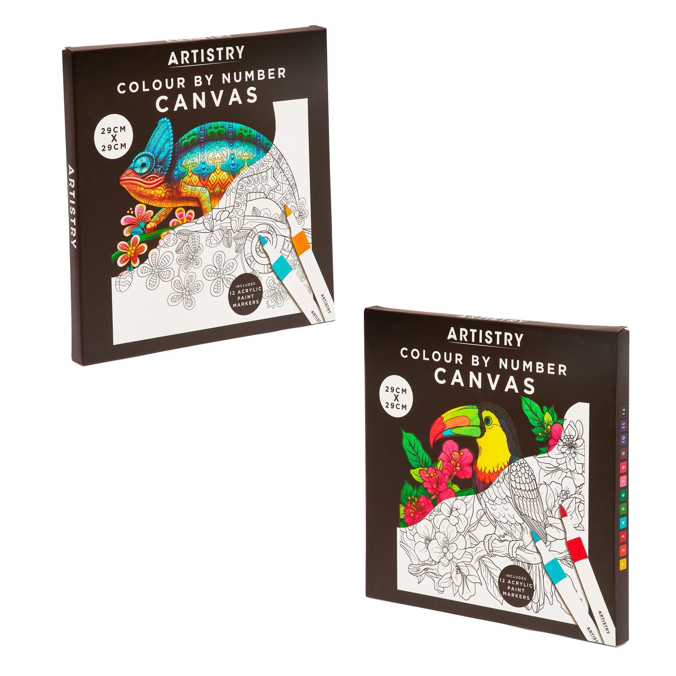 Artistry Colour By Number Canvas