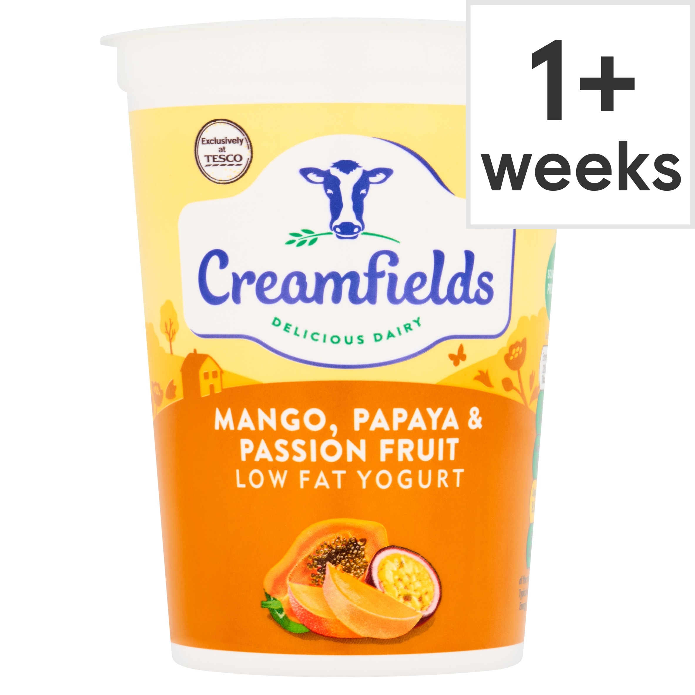 Creamfields Mango, Papaya & Passion Fruit Low Fat Yogurt 450g