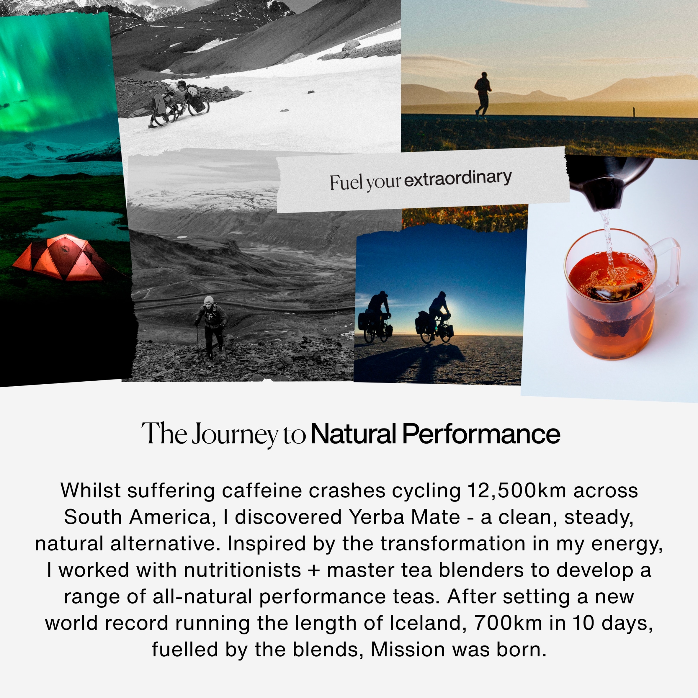 MISSION Focus Yerba Mate with Liquorice, Peppermint 15 Tea Bags 30g thumbnail 3