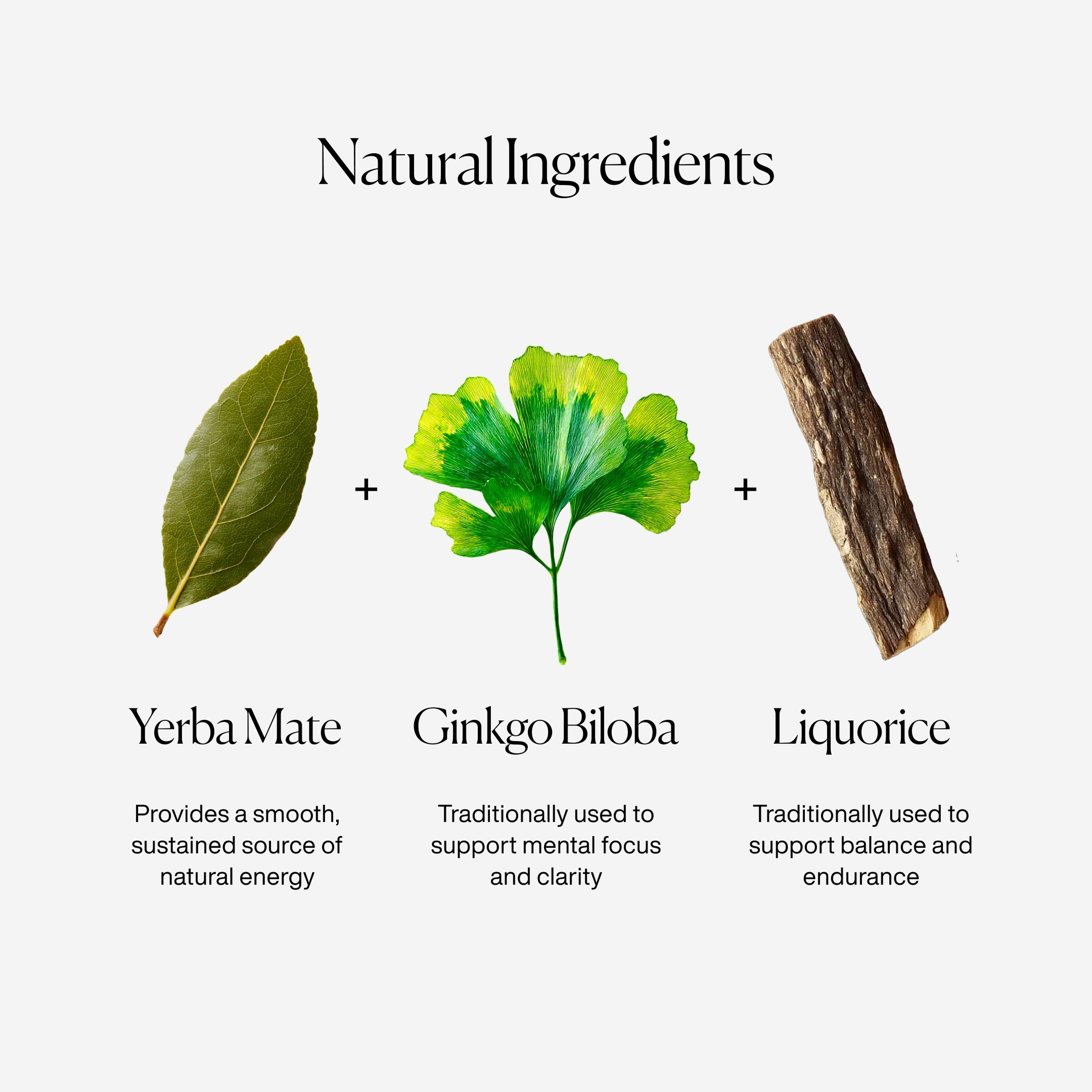 MISSION Focus Yerba Mate with Liquorice, Peppermint 15 Tea Bags 30g thumbnail 4