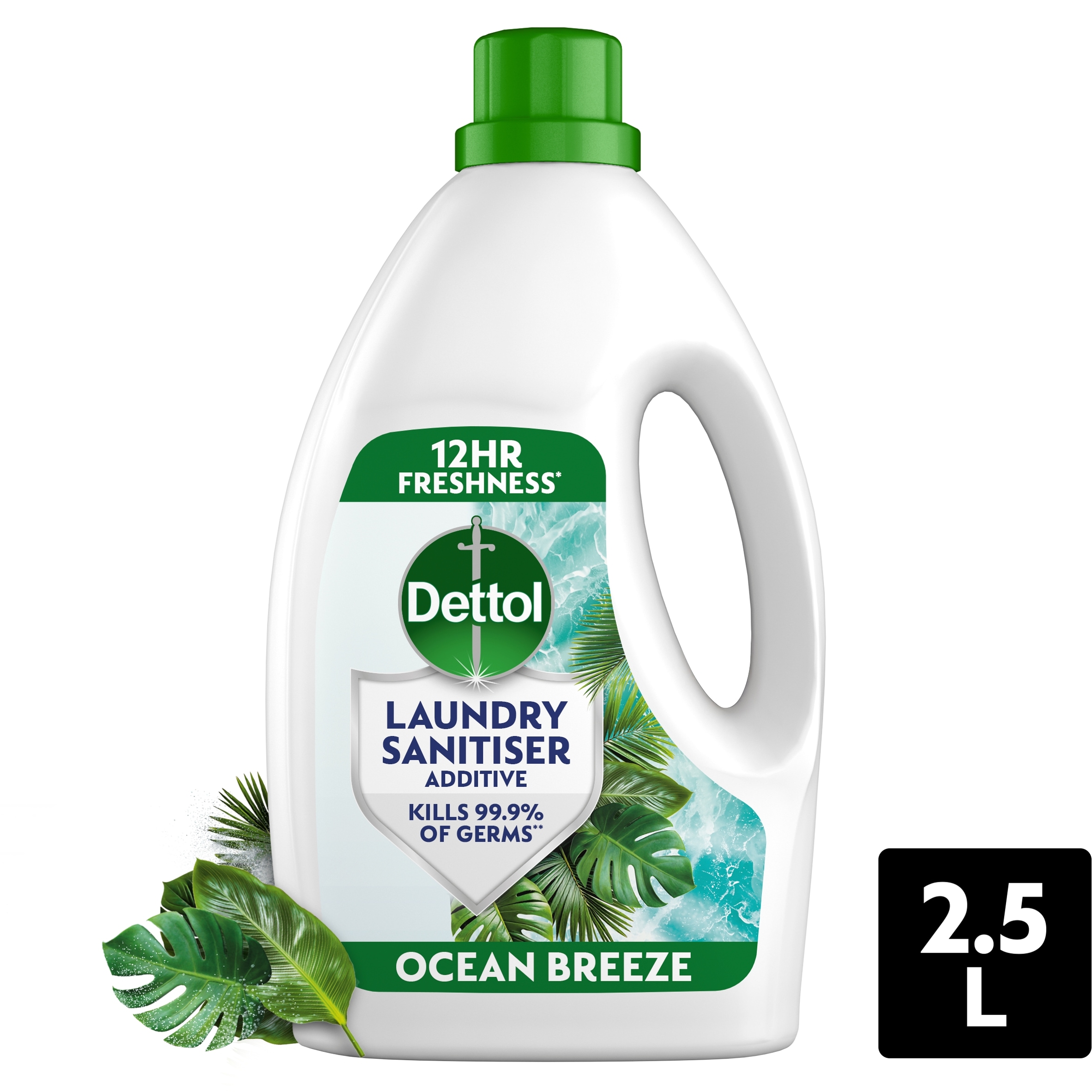 Dettol Antibacterial Laundry Sanitiser Ocean Breeze 2.5L