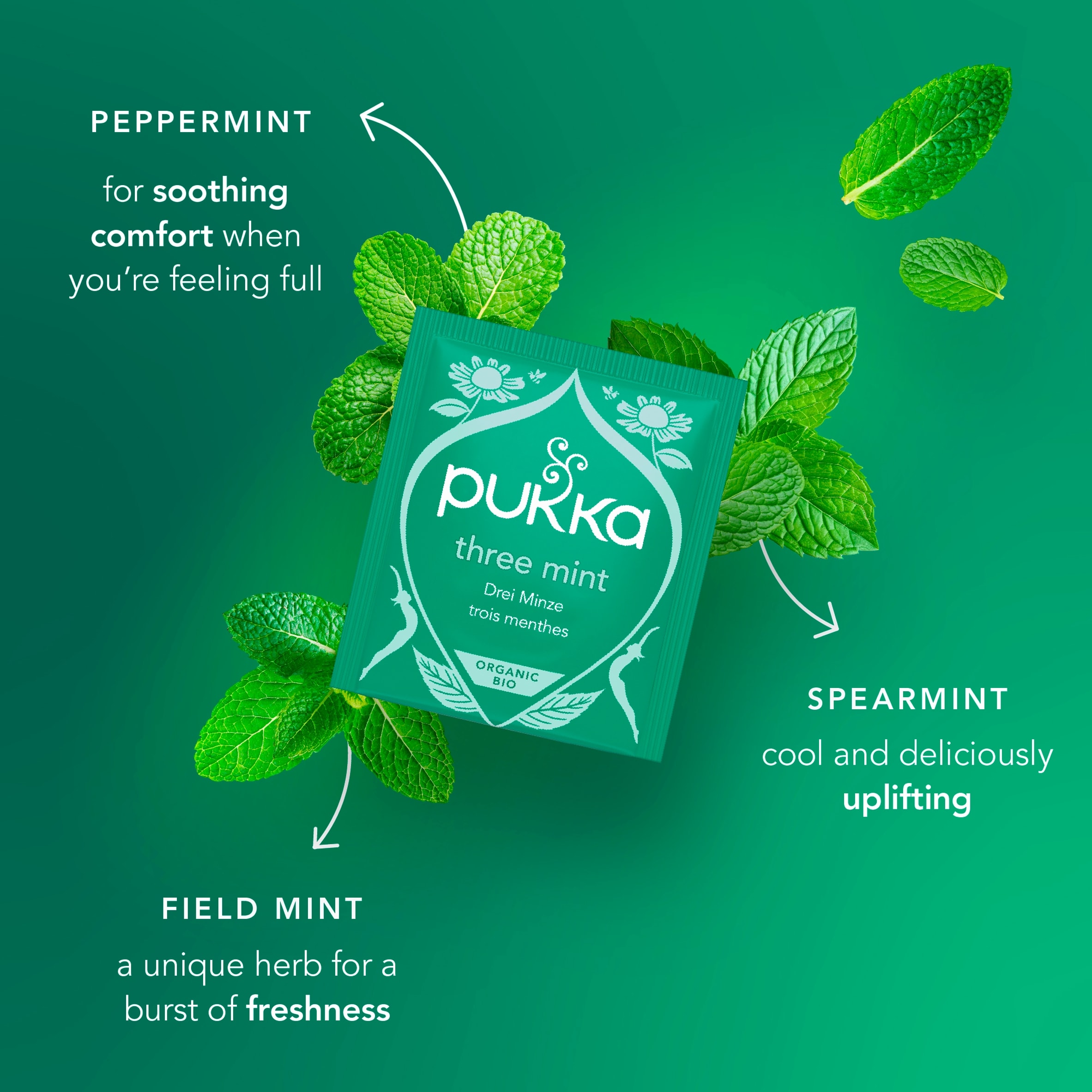 Pukka Organic Digest Collection with Peppermint and Ginger 8 Tea Bags 13.6g thumbnail 3