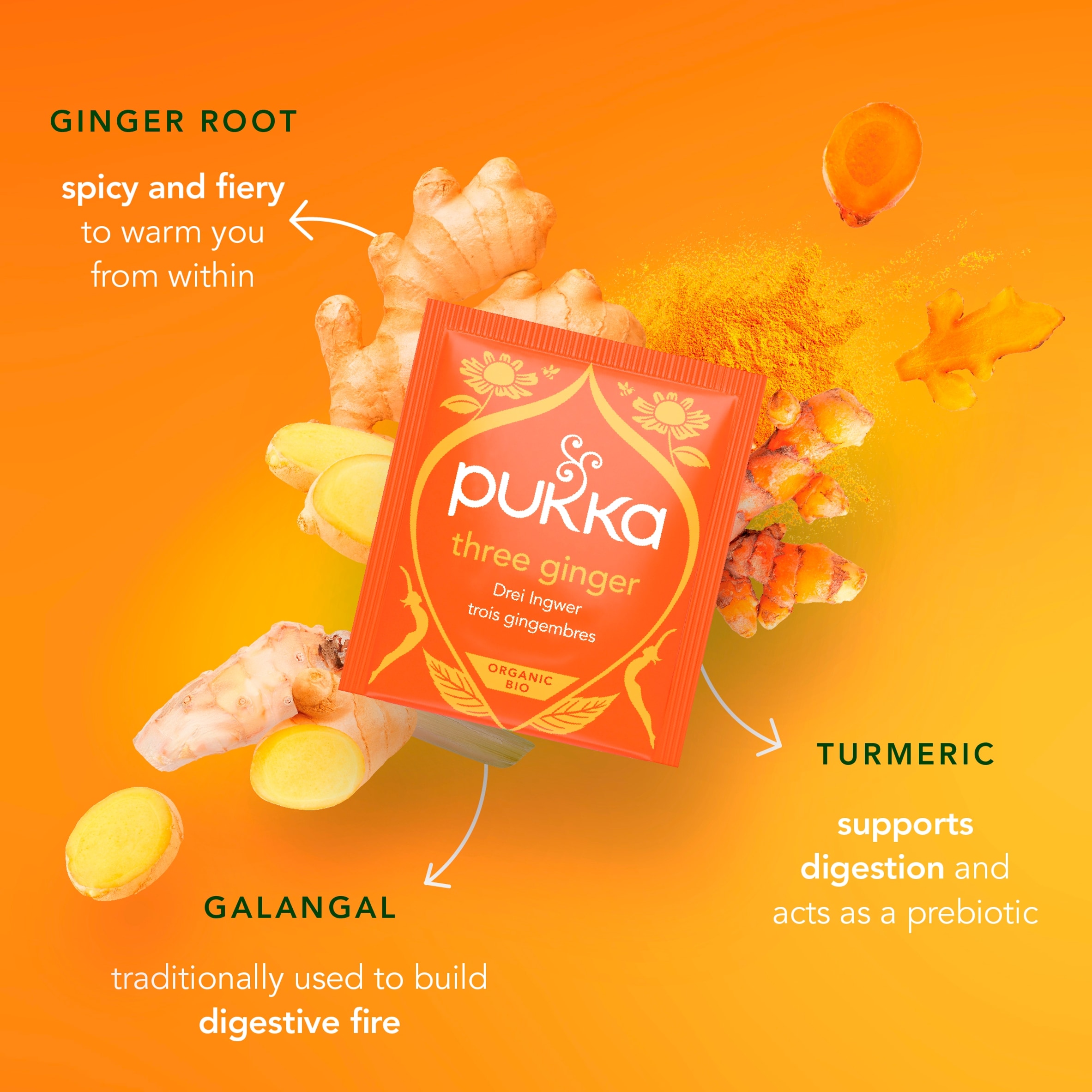 Pukka Organic Digest Collection with Peppermint and Ginger 8 Tea Bags 13.6g thumbnail 5
