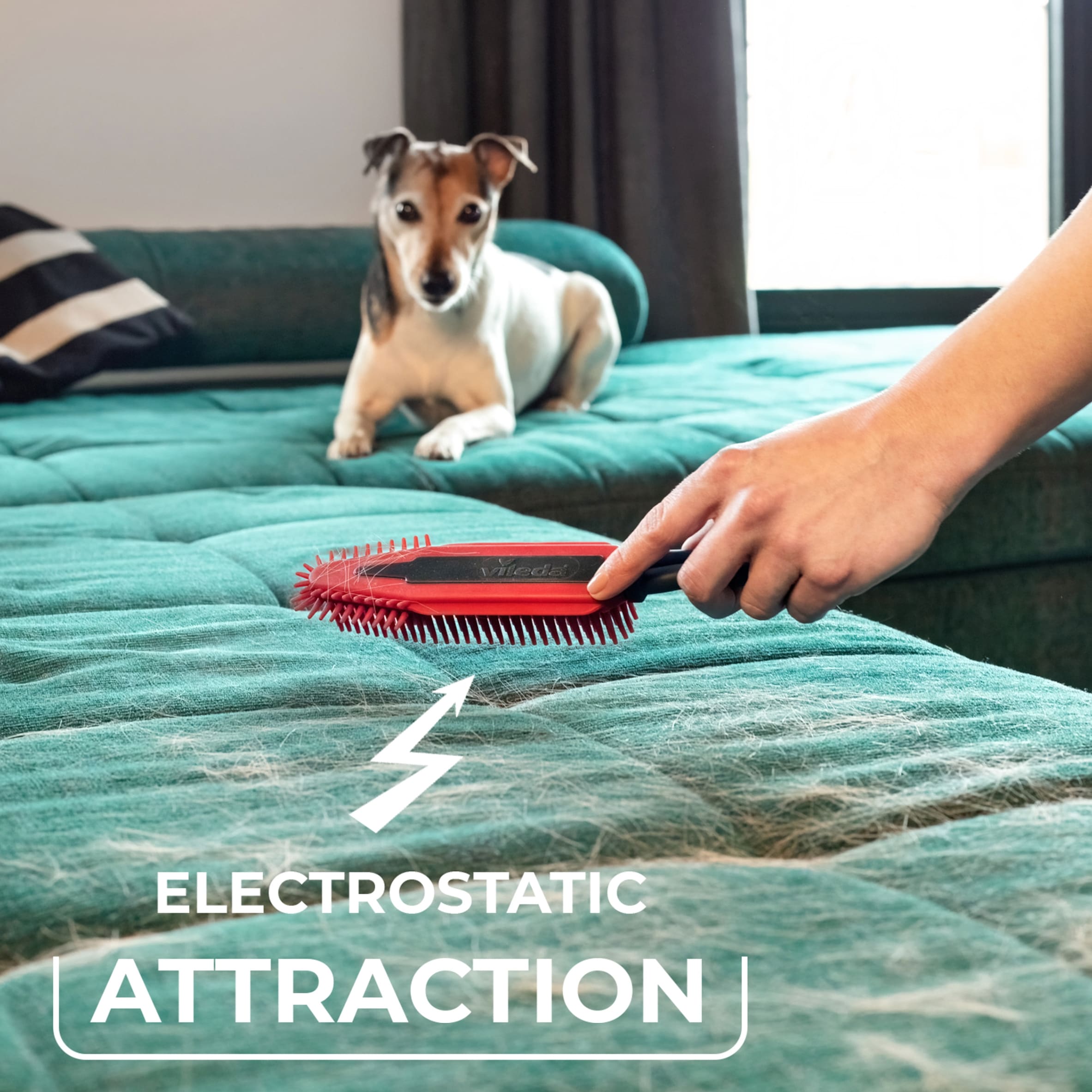 VILEDA PET PRO ELECTROSTATIC BRUSH thumbnail 5