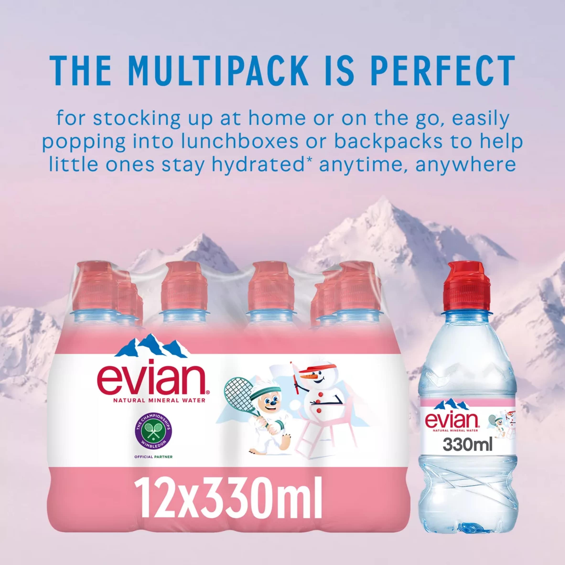 Evian Natural Mineral water 12x330ml thumbnail 3