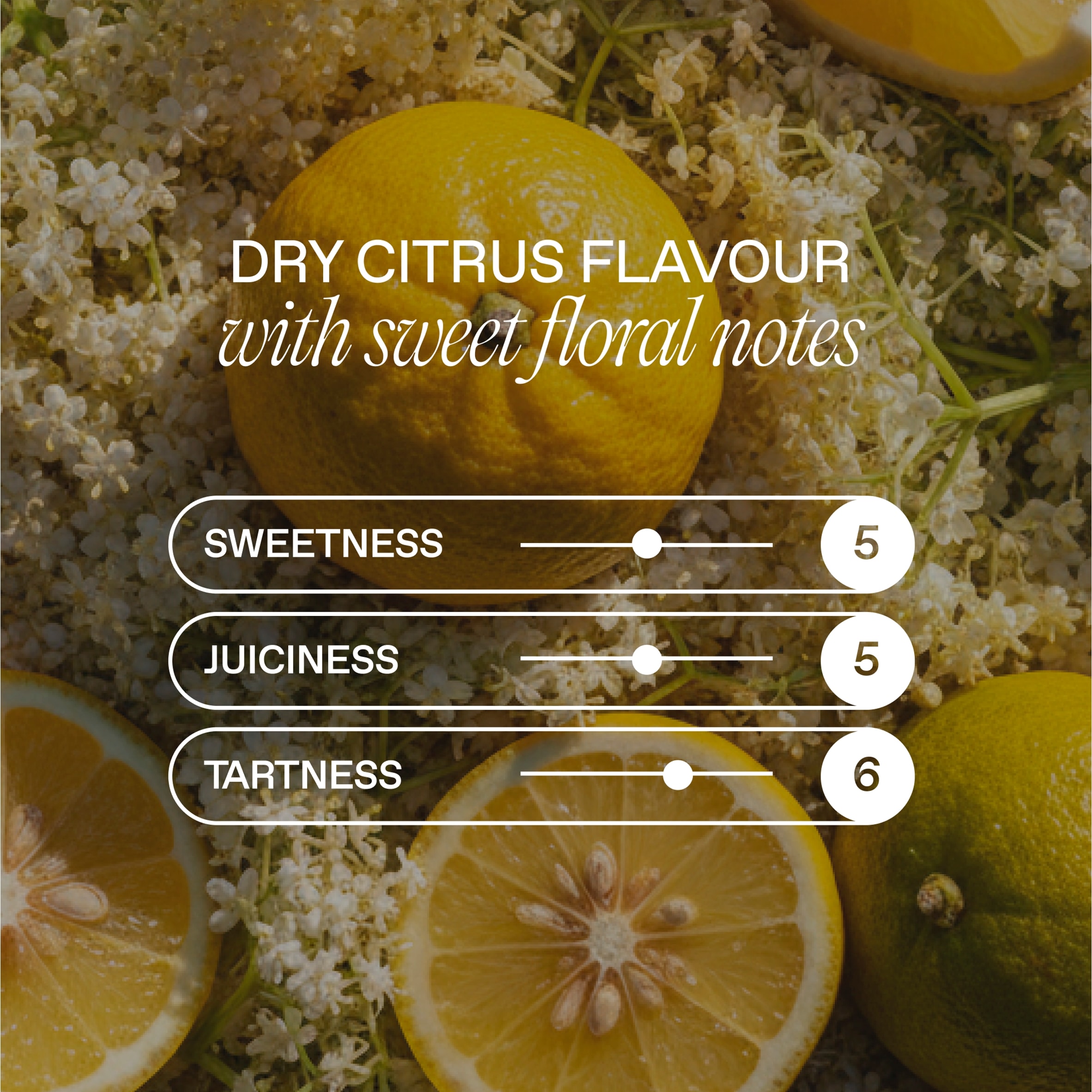 Goodrays CBD Elderflower & Yuzu Drink 4 x 330ml thumbnail 4