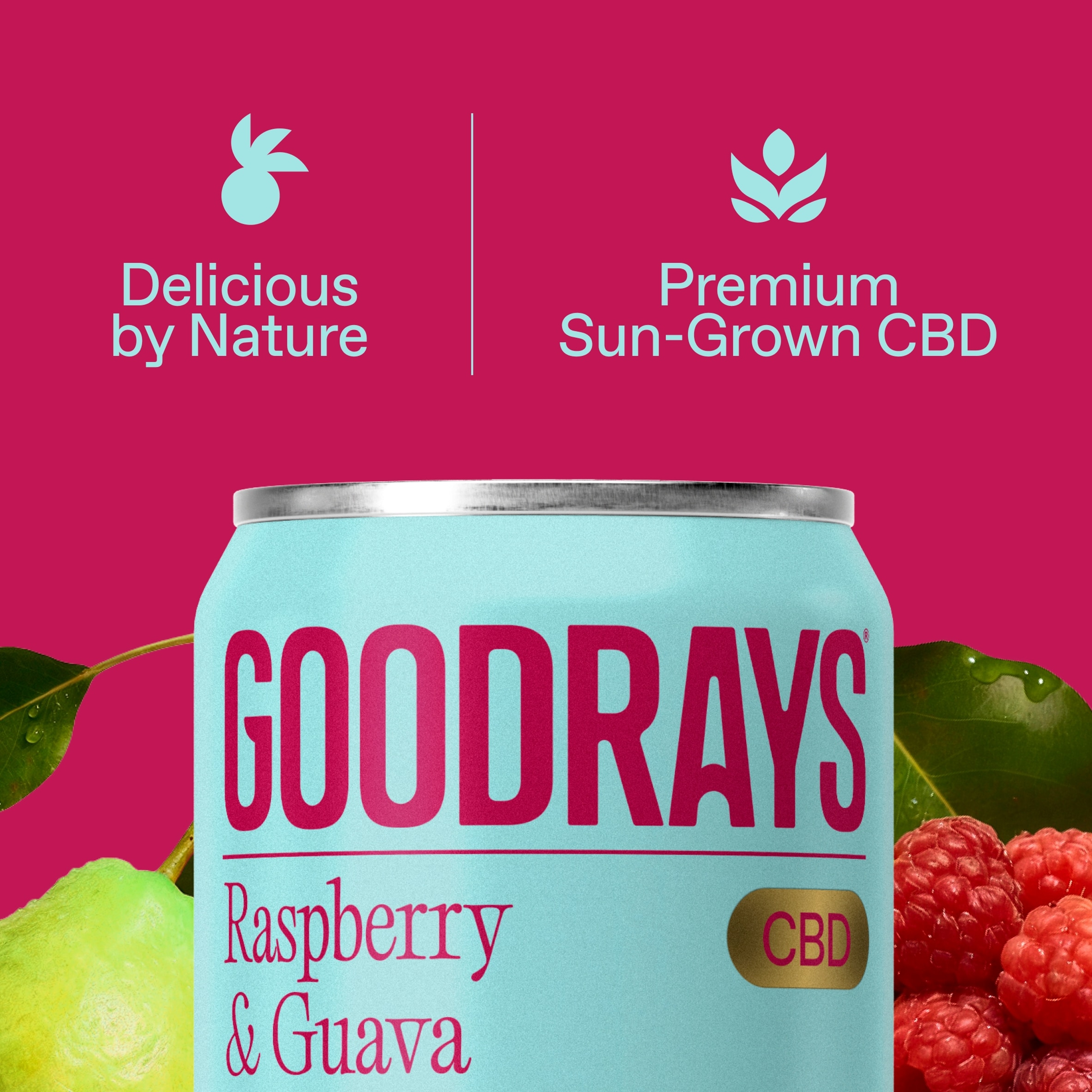 Goodrays CBD Raspberry & Guava Drink 4 x 330ml thumbnail 3
